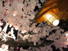 -汤乐汇•足道•SPA生活馆