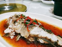 清蒸野生笋壳鱼-瑞福园联谊餐室(茂名南路店)