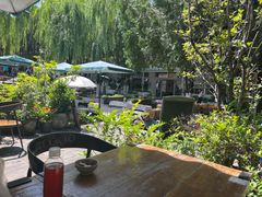 -蓝壁虎咖啡酒馆