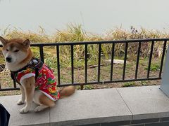 -阳澄湖半岛旅游度假区