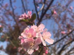 -白鹭湾湿地公园