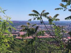 -府君山公园