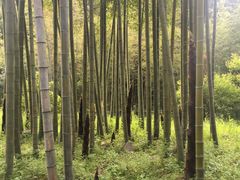 -黄公望隐居地