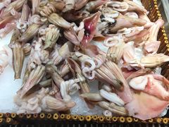 鲜鱿鱼-吉布鲁牛排海鲜自助(朝阳广场店)