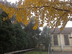 -辽宁大学(崇山校区)