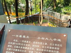 -马王堆汉墓遗址