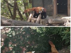 -云南野生动物园