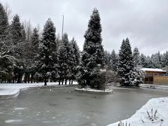 -武陵山森林公园