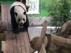 -临沂动植物园