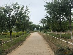-绿堤公园