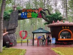 -合肥滨湖国家森林公园