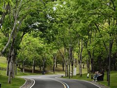 -牛岗山公园
