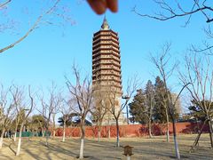 -西海子公园