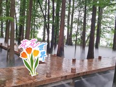 -东湖落雁景区