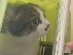 -芭比堂动物医院·CT·微创中心(新顺分院)