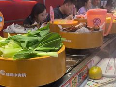 -龍歌自助小火锅(秦淮水游城店)