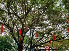 -广东外语外贸大学(白云山校区)