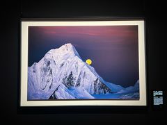 -罗红摄影艺术馆