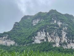 -明仕田园