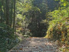 -马口生态公园