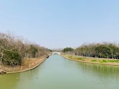 -上海海湾国家森林公园