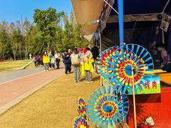 -上海长兴岛郊野公园