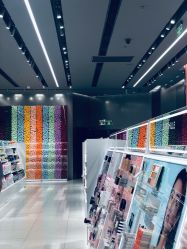 -THE COLORIST调色师