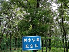 -云岗森林公园