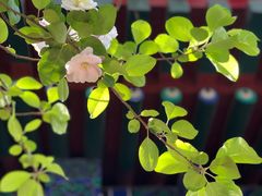 -大钟寺古钟博物馆
