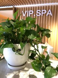 -大华韩艺整形美容医院