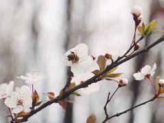 -白鹭湾湿地公园