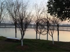 -艾溪湖湿地公园