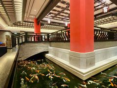 -龙悦湾酒家·八阵鱼生·渔人码头店
