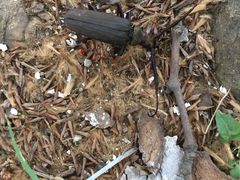 -南通博物苑-崇川人民公园