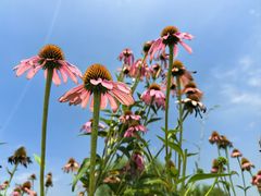 -汉长安城未央宫国家考古遗址公园