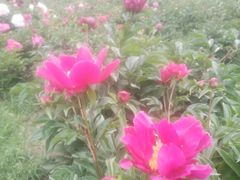 -长春公园(普阳街道)