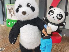 -昆明动物园