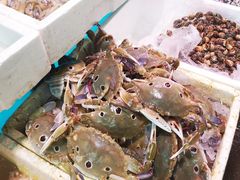 -长平肥姐白粥·海鲜打冷