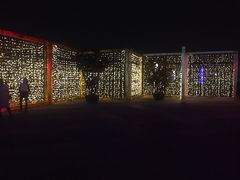 -秀丽东方