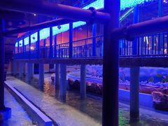 -青岛东方影都融创水世界