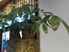 -七爷清汤腩·港式餐厅(金狮广场店)