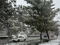 -中关村生命科学园