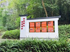 -黄埔油麻山森林公园