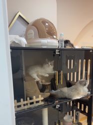 -花系美·美甲美睫精品店