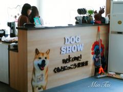 -柴源莊·柴小宠柴犬咖啡