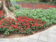 -人民公园(罗湖区)