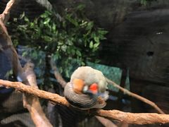 -迪拜水族馆及水下动物园
