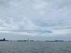 -上海滨江森林公园