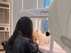 -翊宠yipet猫狗购宠庄园