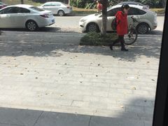 -ZEMOCAFE·FUSION FOOD(西交利物浦店)